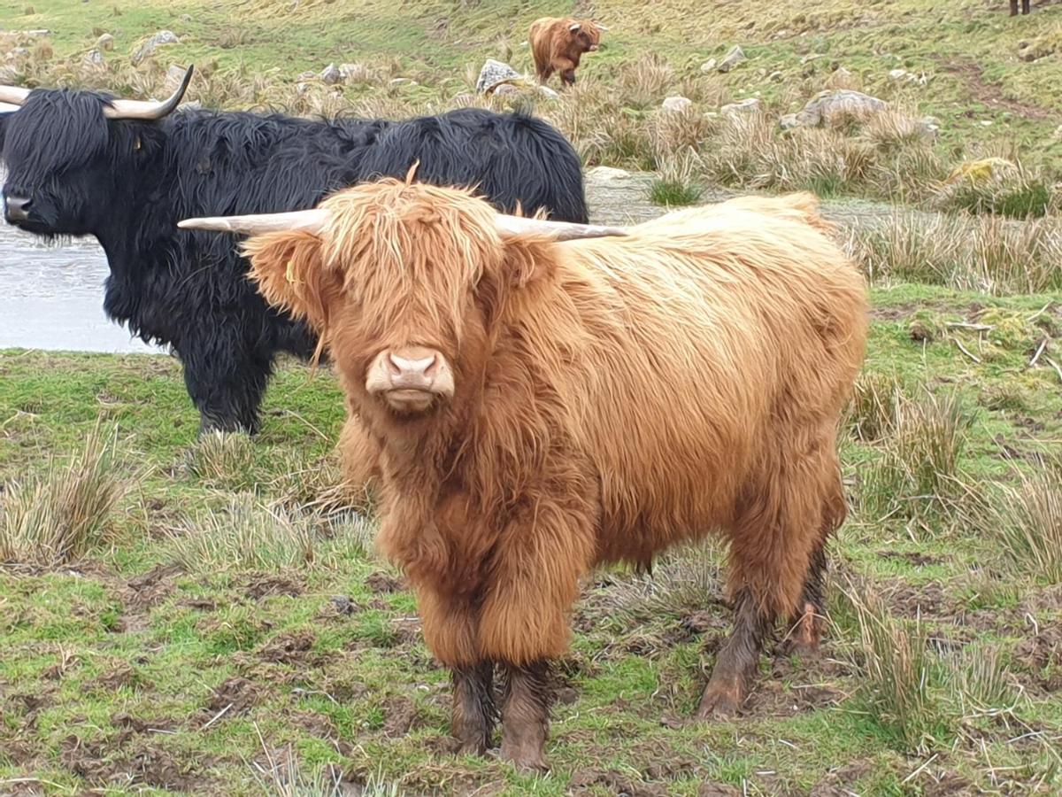 Lorien House B&B Fort Augustus Dış mekan fotoğraf